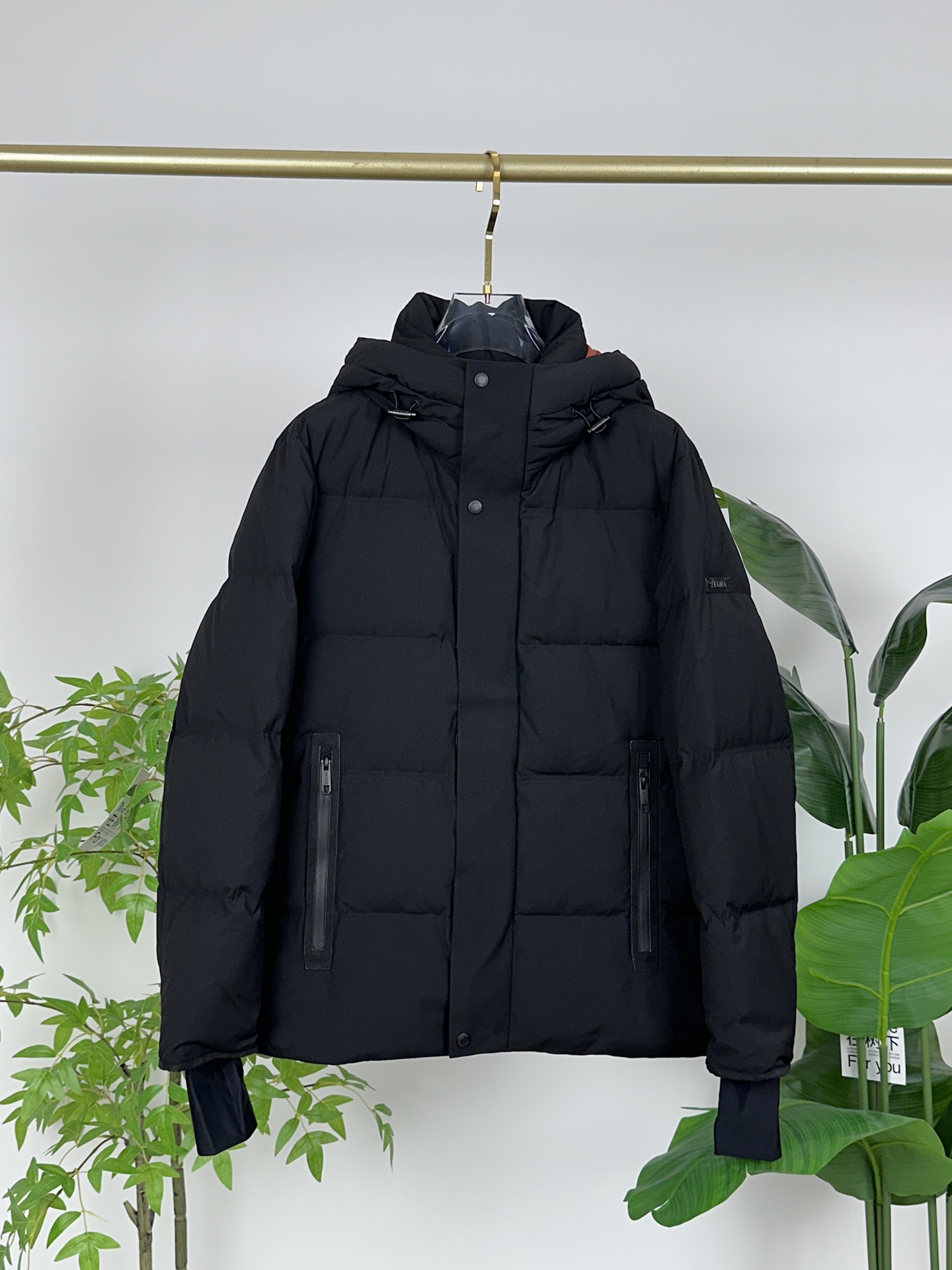 Zegna Down Jackets